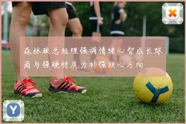 森林狼总经理强调情绪心智成长球商与强硬特质为补强核心方向