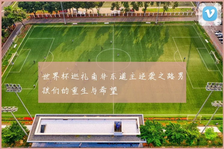 世界杯巡礼南非东道主逆袭之路男孩们的重生与希望