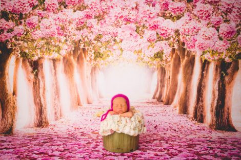 Newborn baby photography
Loomi Photography